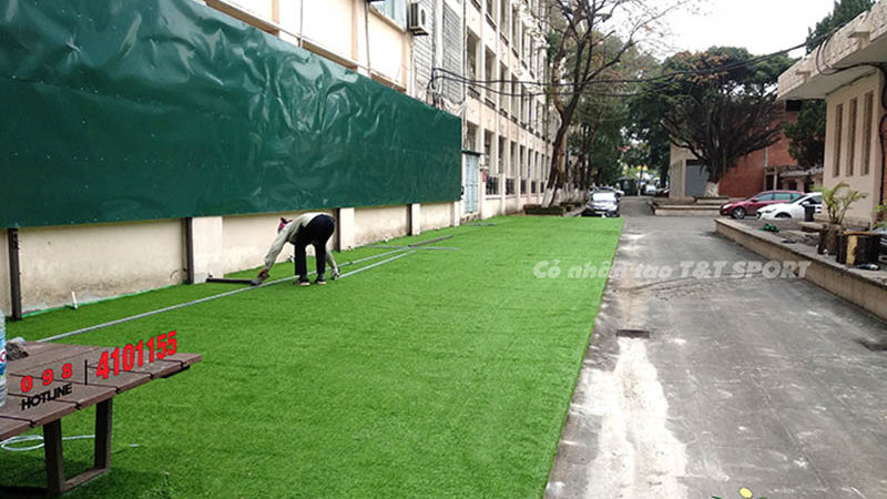 Dự án vườn cỏ nhân tạo cho căng tin Đại học Ngoại Ngữ, Hà Nội