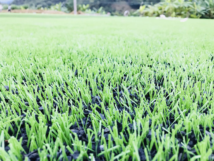 Vì sao cần bảo dưỡng sân cỏ nhân tạo? 1