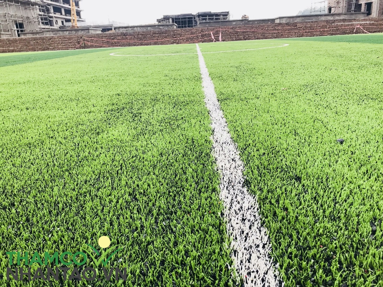 Một vài hình ảnh của dự án Sân bóng đá cỏ nhân tạo Crown Villas Thái Hưng 6