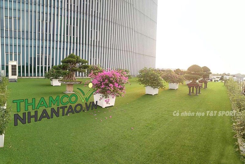 Một vài hình ảnh của dự án sân vườn cỏ nhân tạo ban công Ngân hàng chính sách xã hội quận Hoàng Mai, Hà Nộ 4