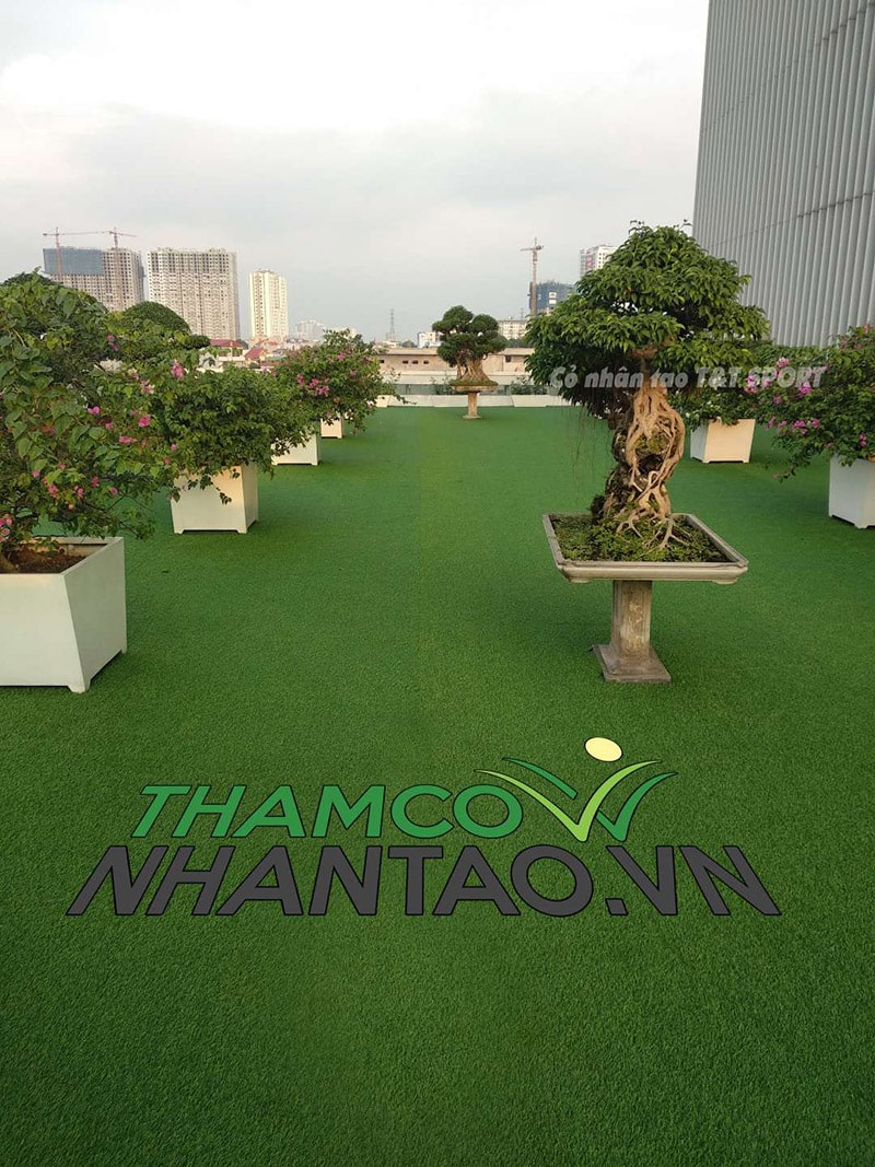 Một vài hình ảnh của dự án sân vườn cỏ nhân tạo ban công Ngân hàng chính sách xã hội quận Hoàng Mai, Hà Nộ 3