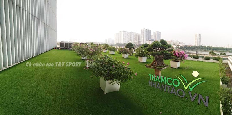 Một vài hình ảnh của dự án sân vườn cỏ nhân tạo ban công Ngân hàng chính sách xã hội quận Hoàng Mai, Hà Nộ 6