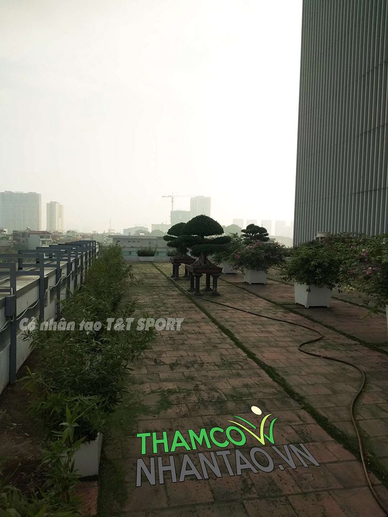 Một vài hình ảnh của dự án sân vườn cỏ nhân tạo ban công Ngân hàng chính sách xã hội quận Hoàng Mai, Hà Nộ 2