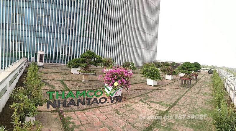 Một vài hình ảnh của dự án sân vườn cỏ nhân tạo ban công Ngân hàng chính sách xã hội quận Hoàng Mai, Hà Nộ 1